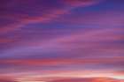 Sunrise sky over Bosque del Apache National Wildlife Refuge, New Mexico Art Print